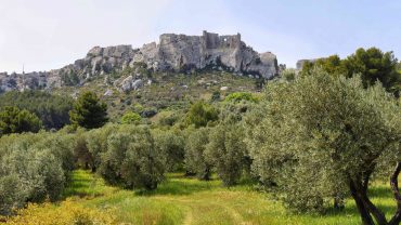 <span class="entry-title-primary">Provence</span> <span class="entry-subtitle">The terroir in majesty</span>