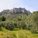 Provence