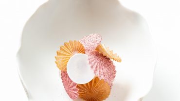 <span class="entry-title-primary">Anne-Sophie Pic</span> <span class="entry-subtitle">The alchemy of flavors!</span>