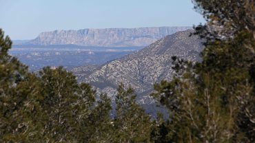A walk between the forest and the Mediterranean