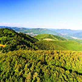 Tchéky Karyo – LiFE Style Magazine – En